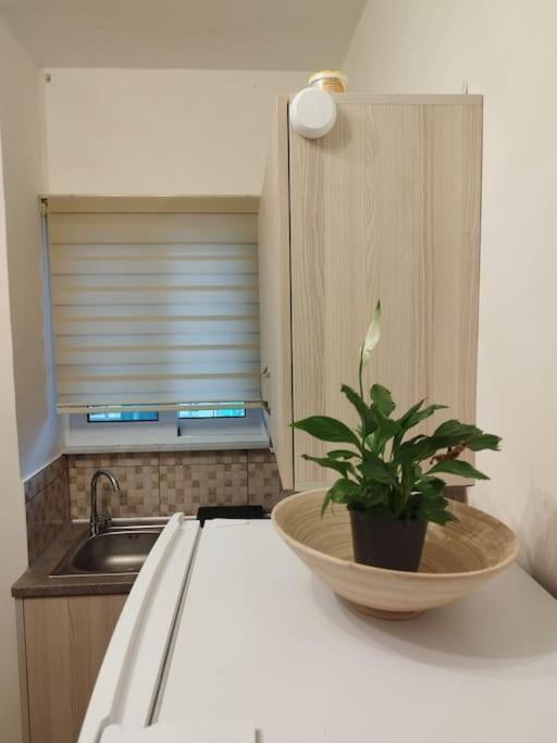 Esteticaapartments Rhodes City Dış mekan fotoğraf