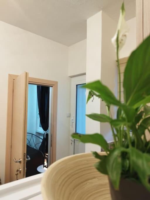 Esteticaapartments Rhodes City Dış mekan fotoğraf